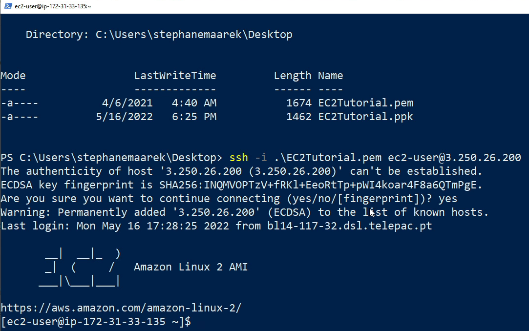 image-20230407113529149