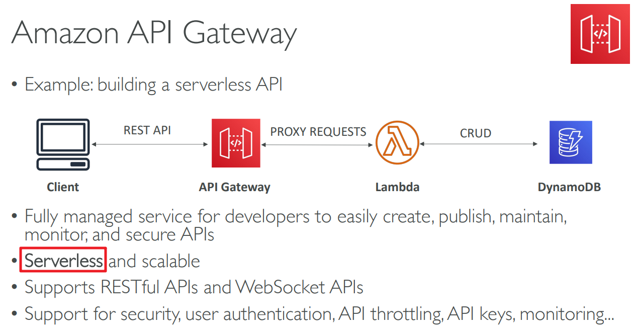 image-20230414115142980