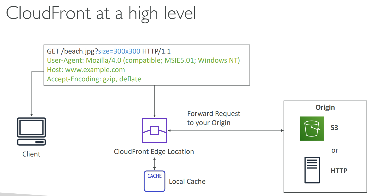 image-20230417122011466
