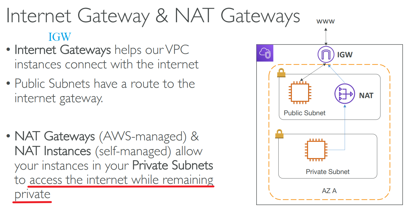 image-20230423123200001