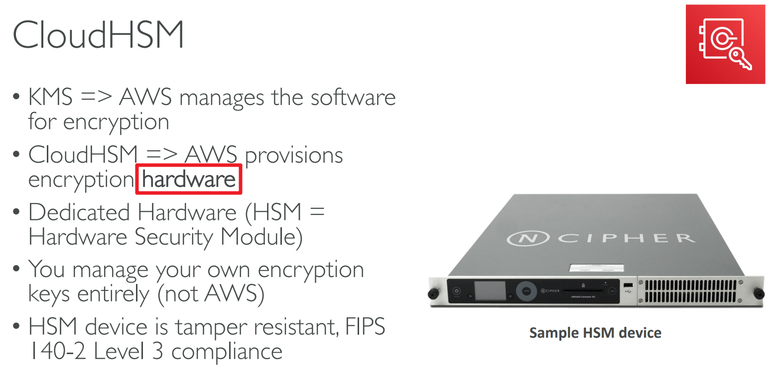 image-20230425123923924