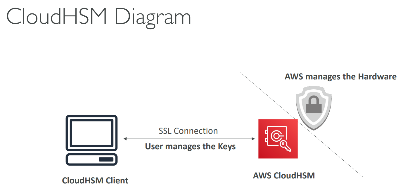 image-20230425124006419