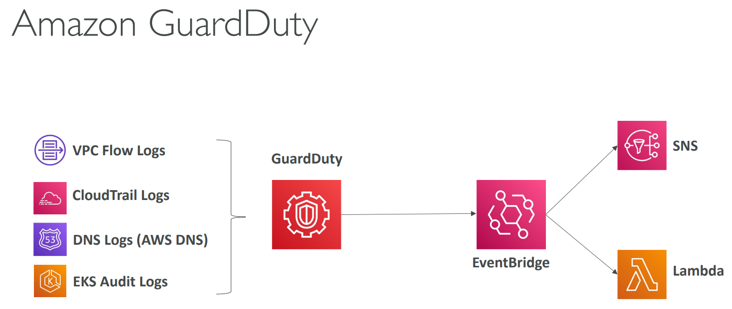 image-20230425125103612