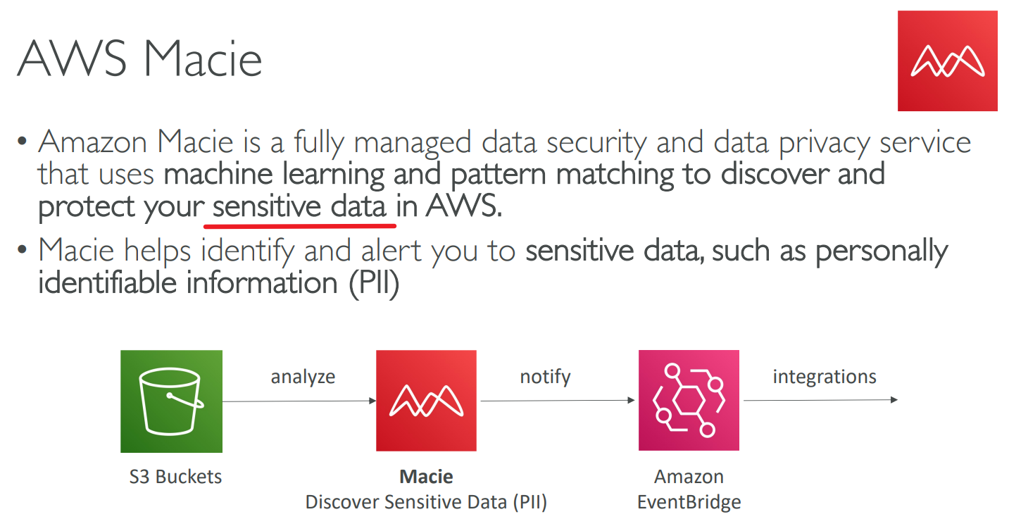 image-20230425125556209