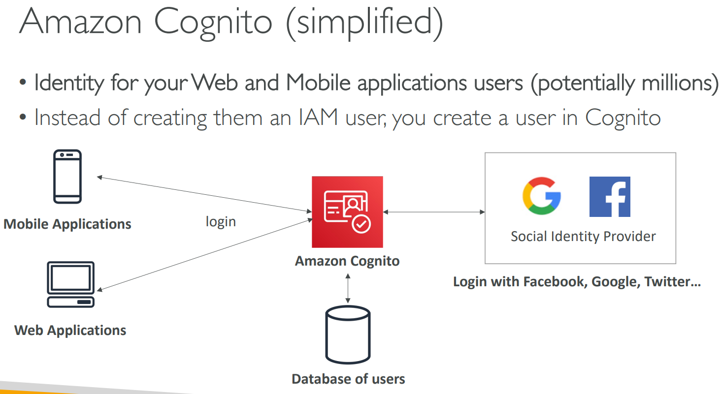 image-20230501124854287