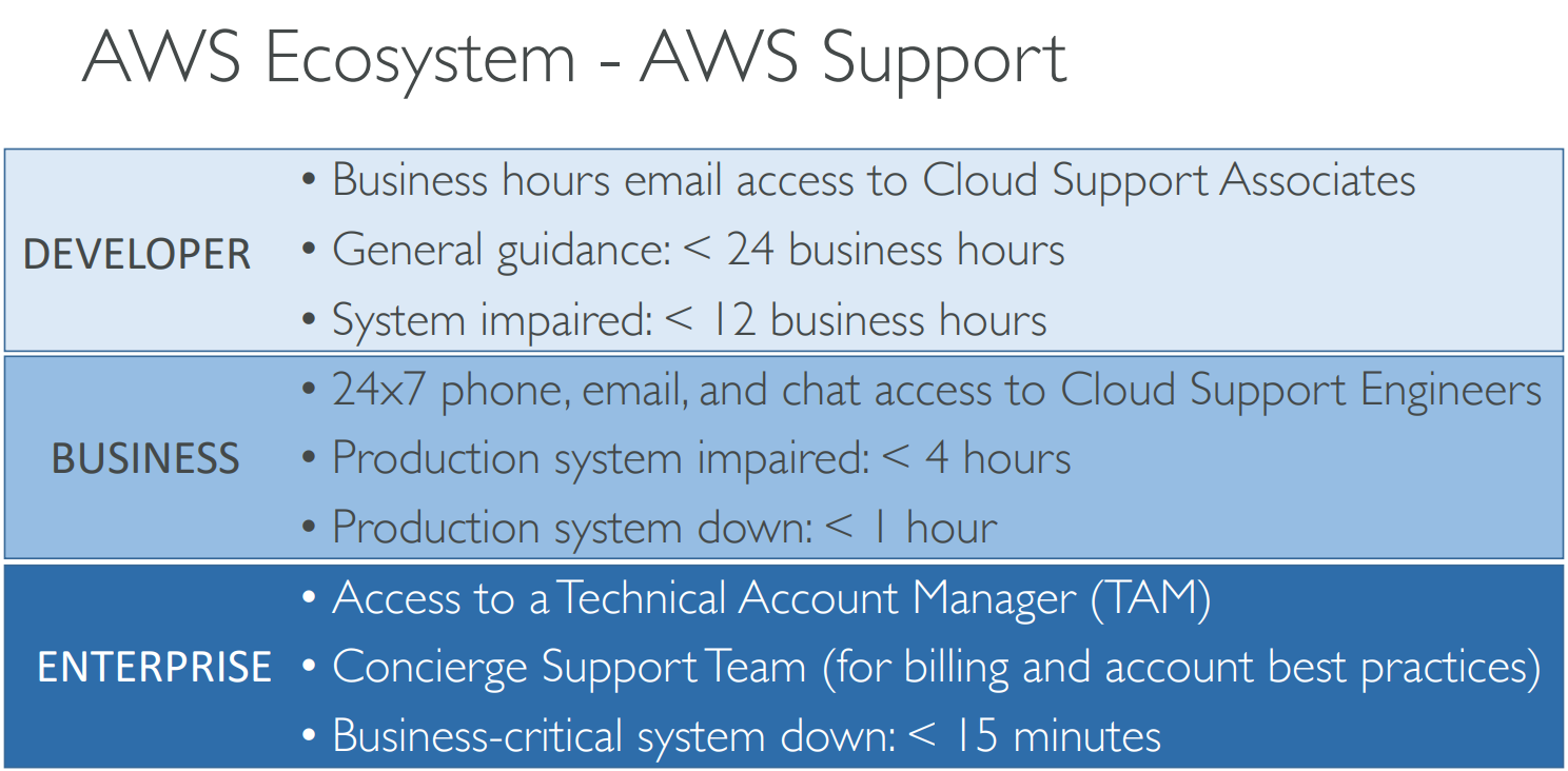 image-20230504125156838