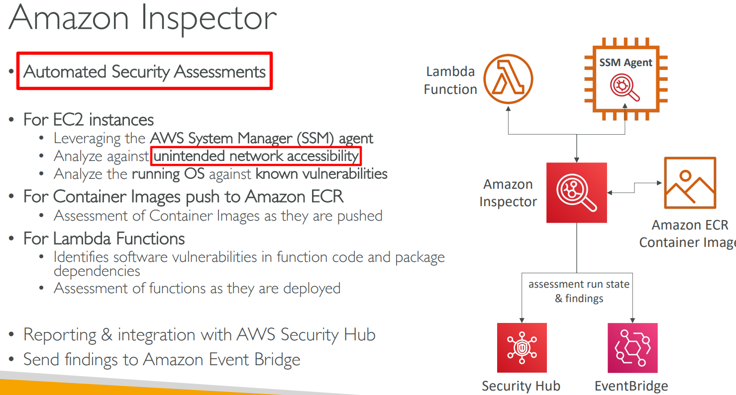 image-20230619164636001