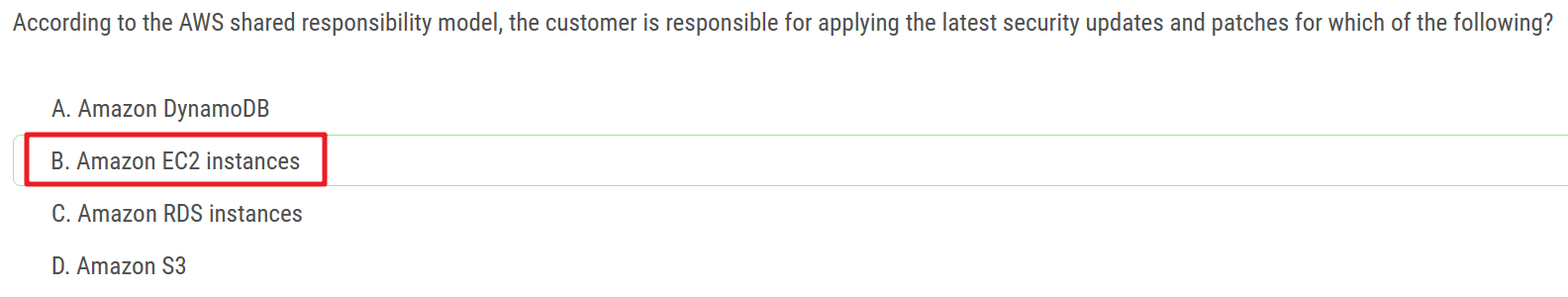 image-20230619233245801