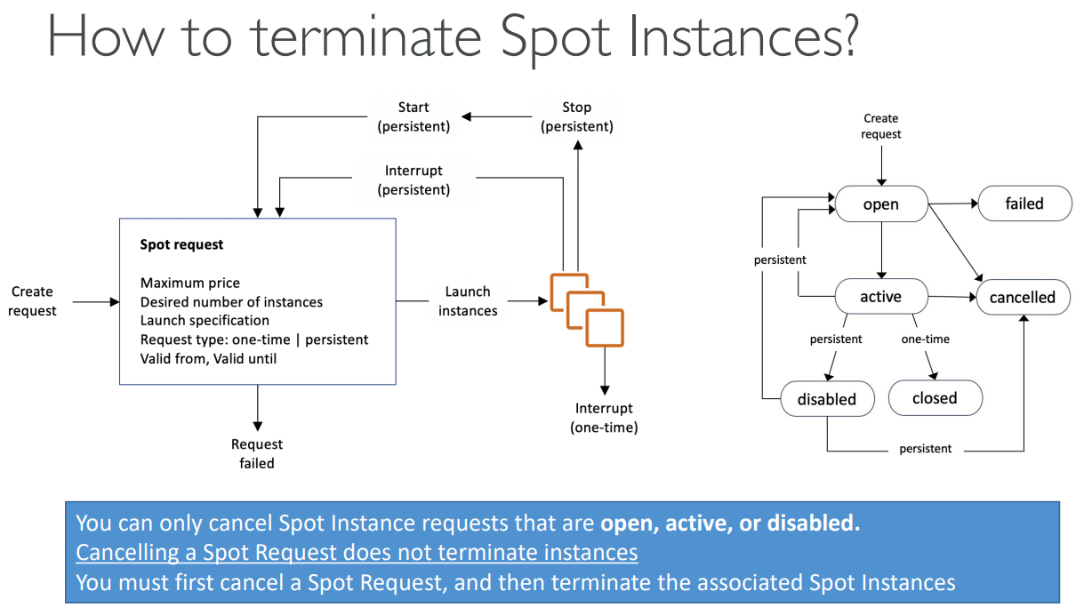 image-20230624110013901