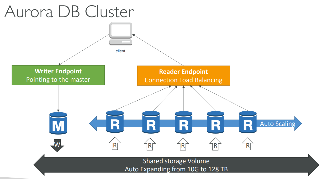 image-20230629164636305