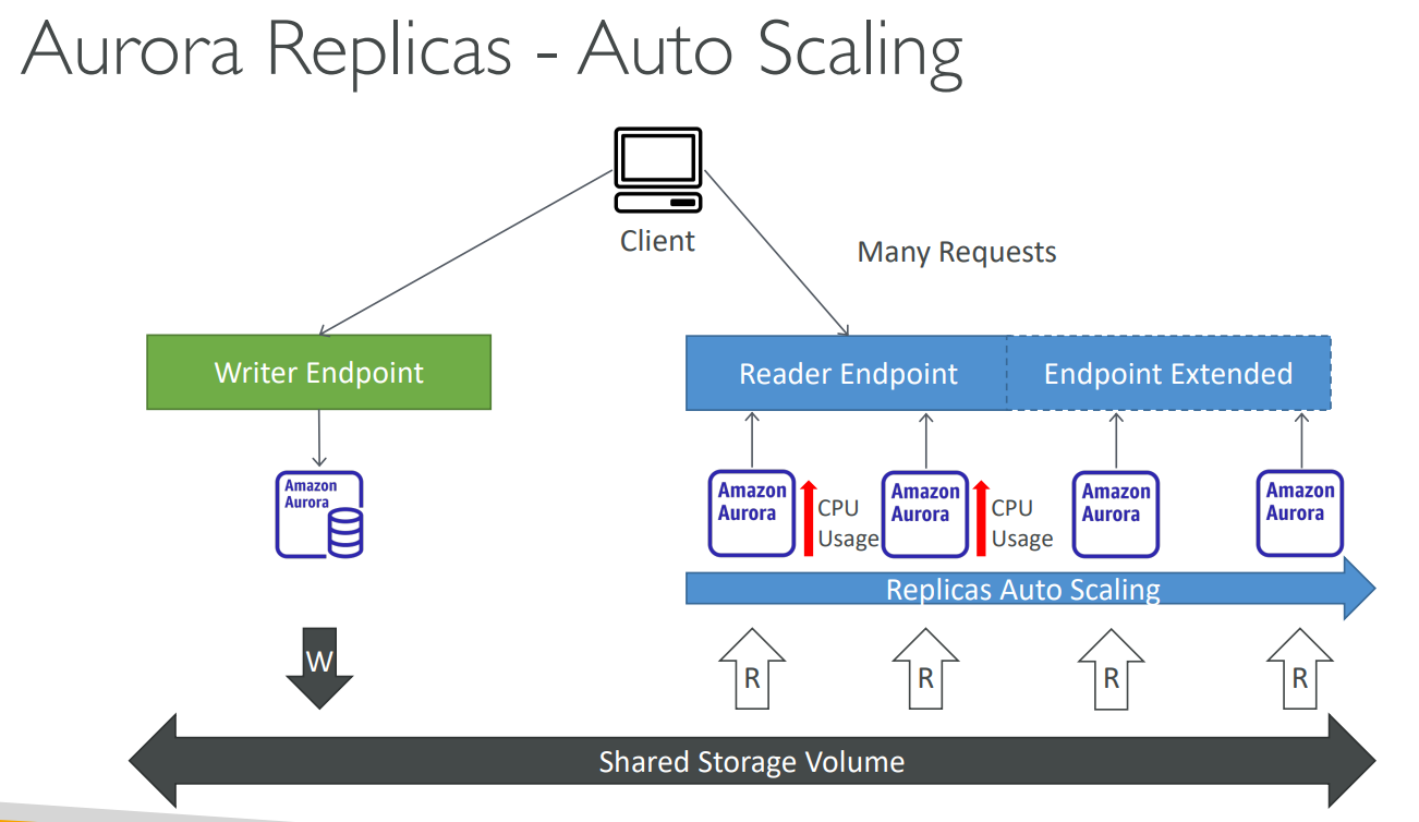 image-20230629165342570