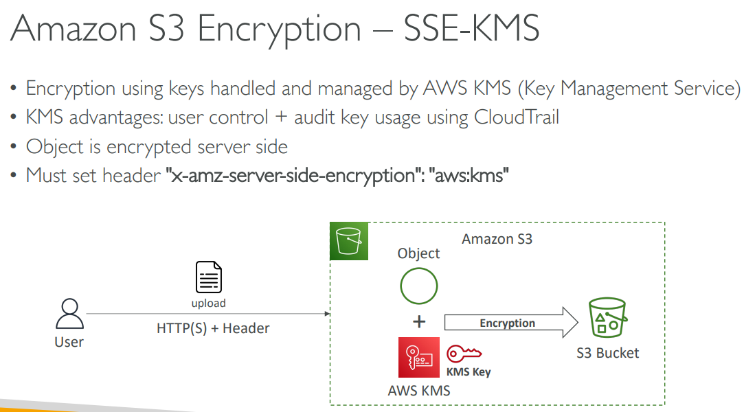 image-20230711221528878