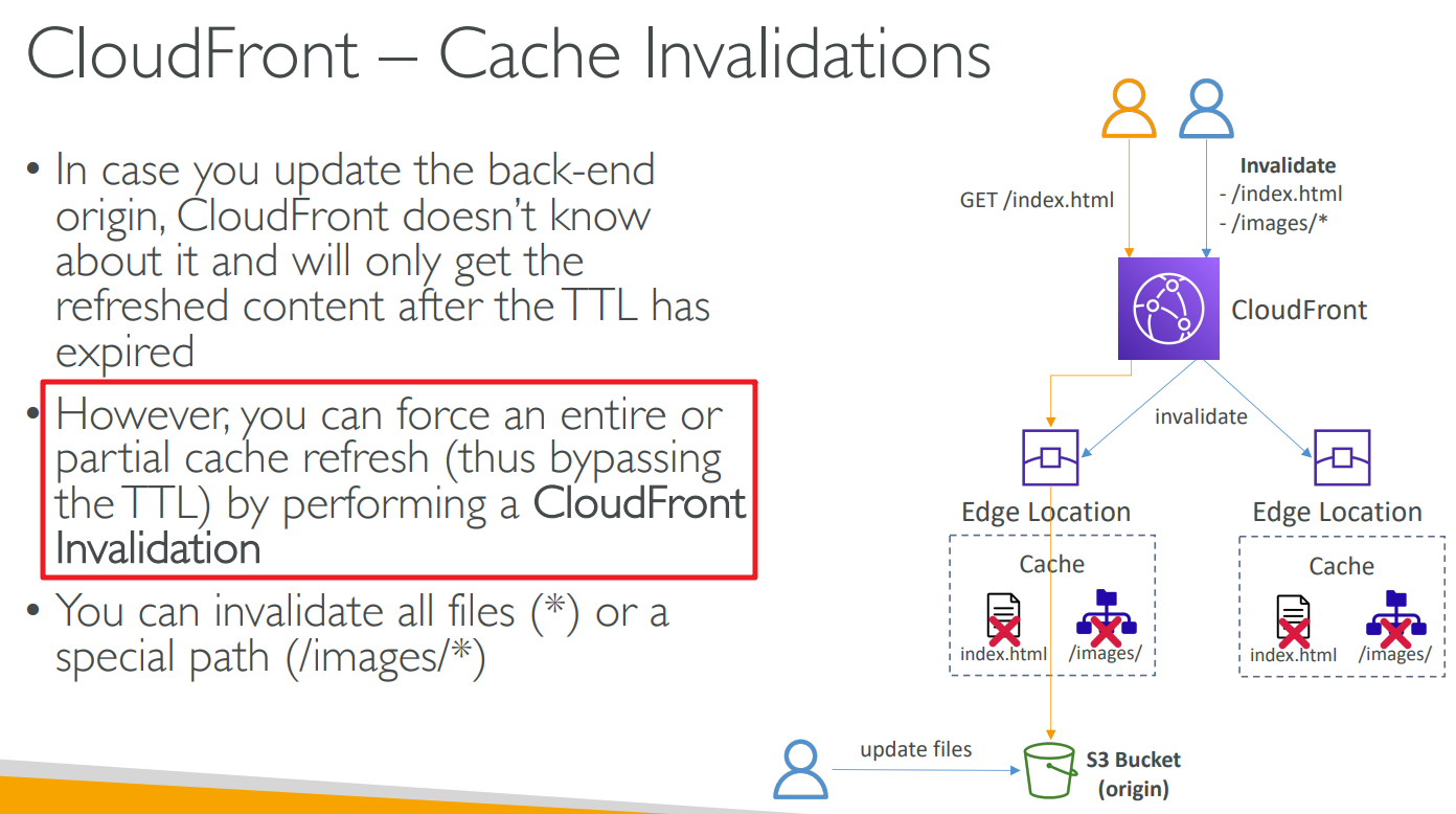 image-20230712211351122